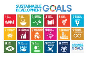 Tiêu dùng của các nước Bắc Âu cần phải thay đổi nếu muốn đạt được các mục tiêu phát triển bền vững (SDGs)